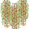 Tomato Ladders, Set Of 3