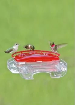Window Hummingbird Feeder