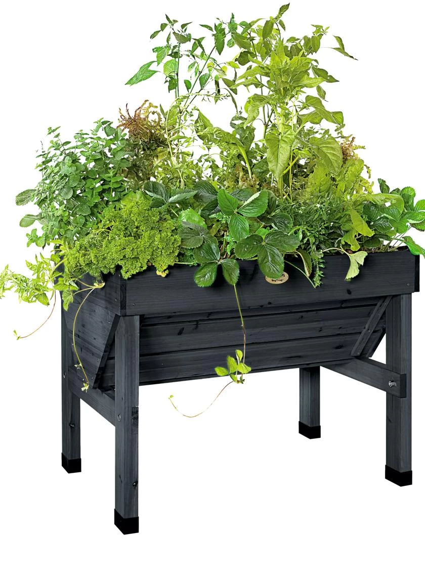 Compact VegTrug® Patio Garden - Image 4