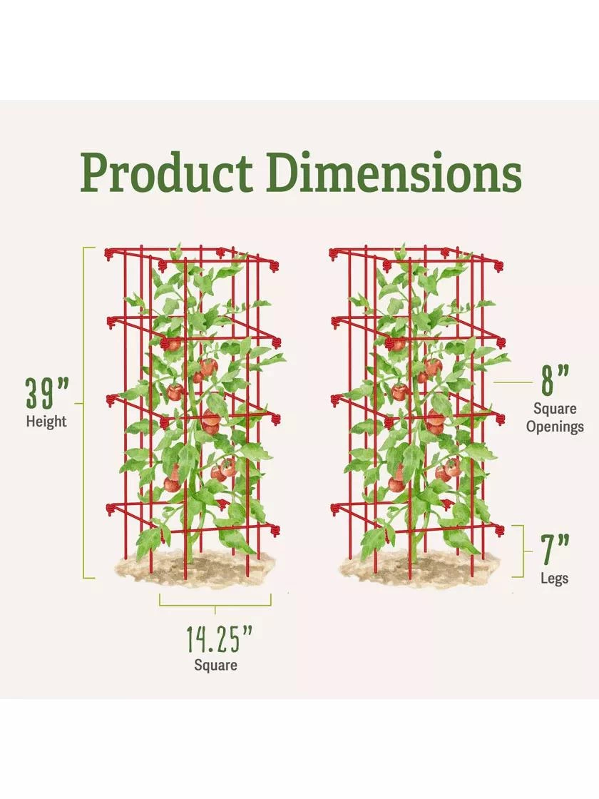 Tomato Cages, Set Of 4 - Image 6