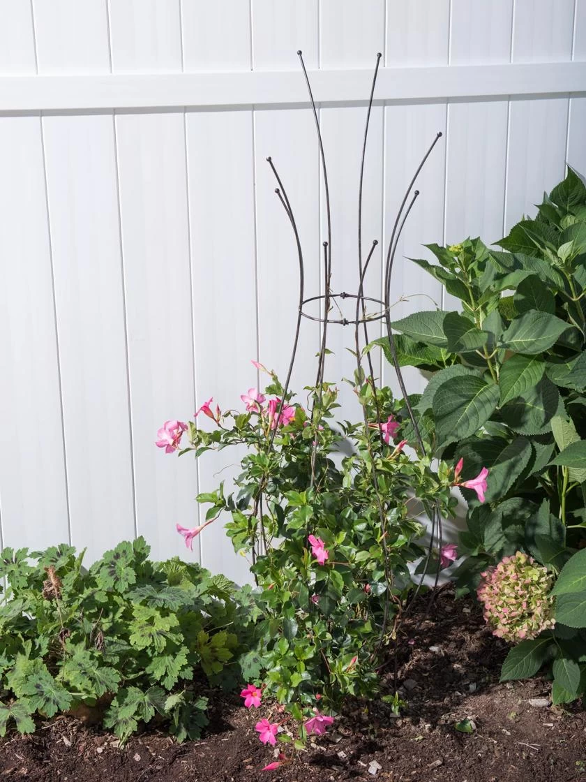 Jardin Pot Trellis - Image 2