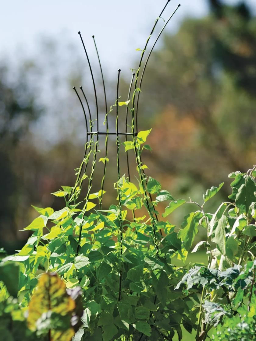 Jardin Pot Trellis - Image 5