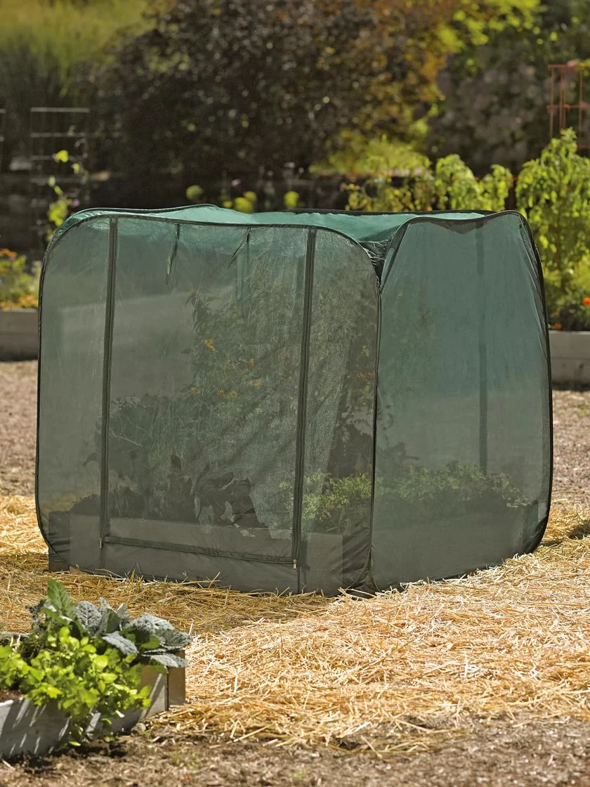 Pest Control Pop-Ups - Image 4