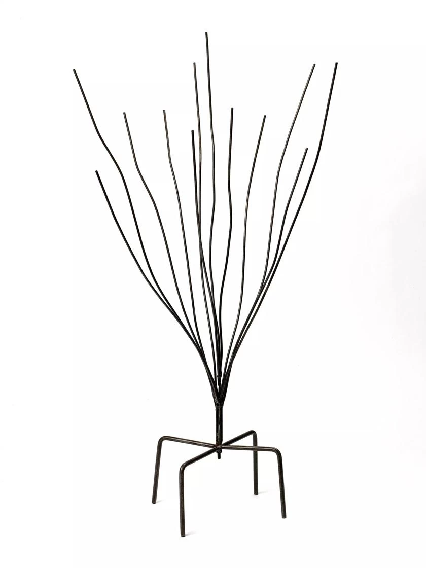 Bottle Bush - Image 3