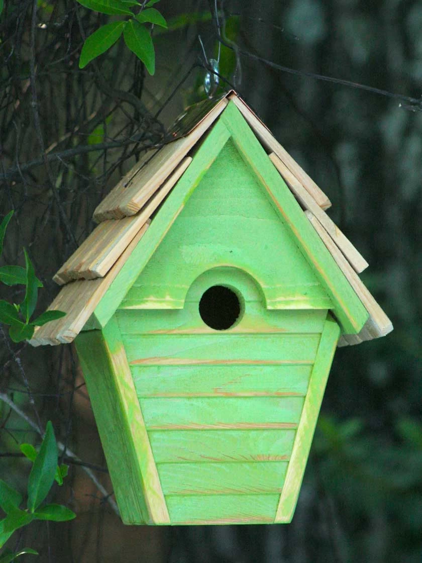 Heartwood Wren-in-the-Wind Bird House - Image 7