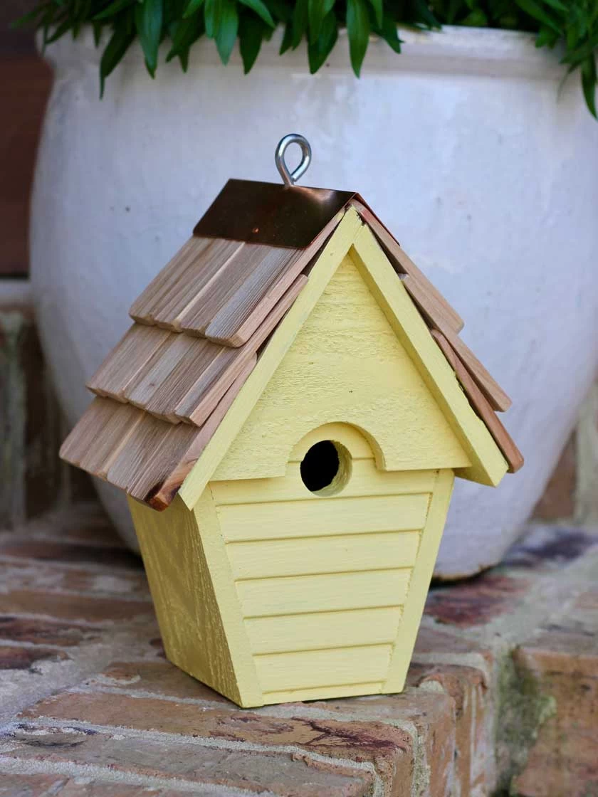 Heartwood Wren-in-the-Wind Bird House - Image 6