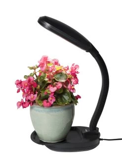 Agrobrite Desktop Plant Light