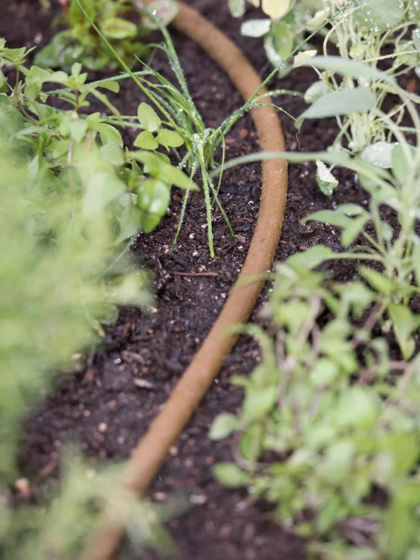 Premium 1/2" Soaker Hose - Image 4