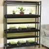 High Intensity 3-Tier SunLite® Garden