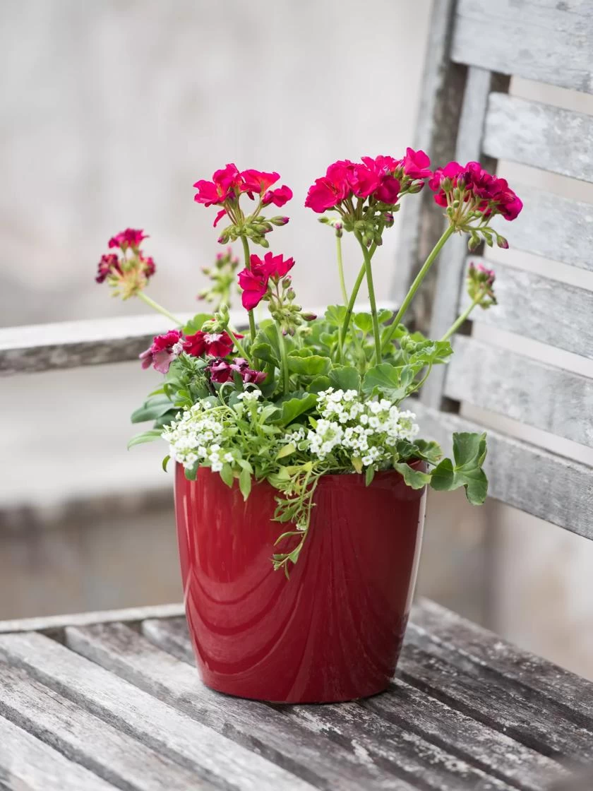 Viva Round Self-Watering Planter, 7" Diameter - Image 2