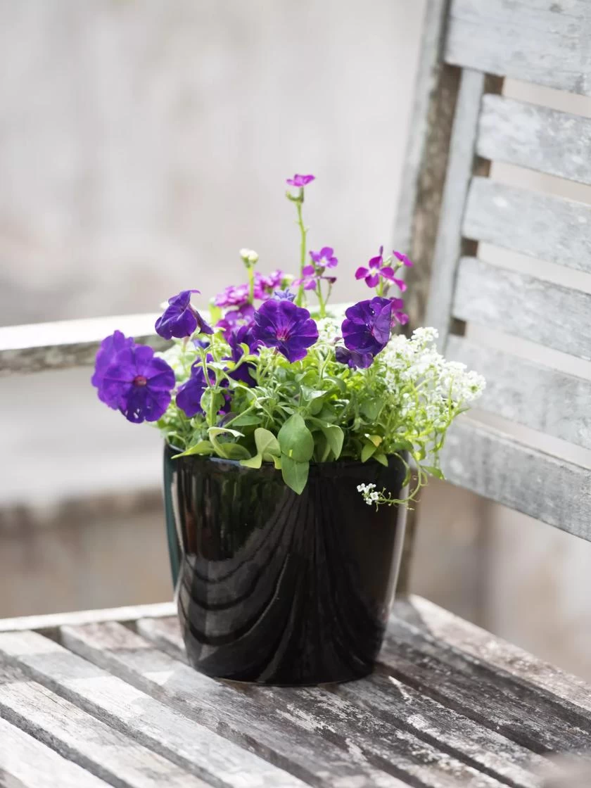 Viva Round Self-Watering Planter, 7" Diameter - Image 5