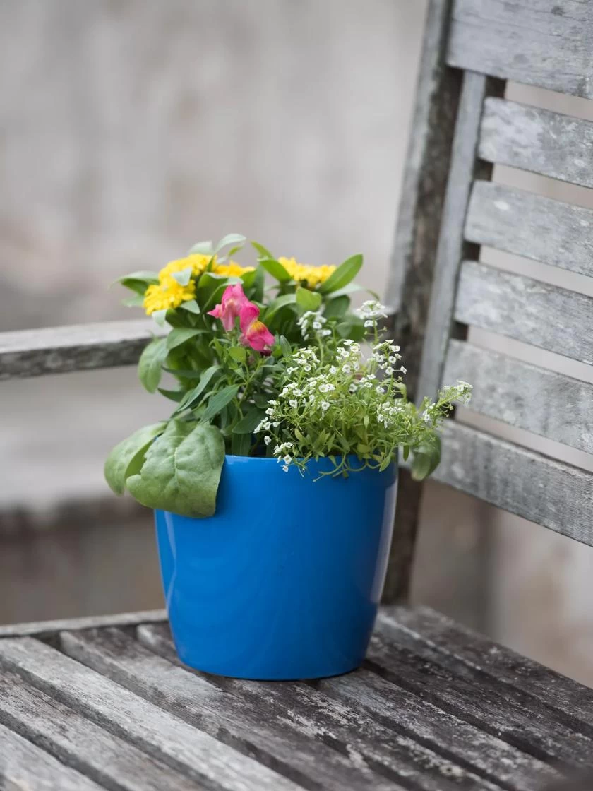 Viva Round Self-Watering Planter, 7" Diameter - Image 3