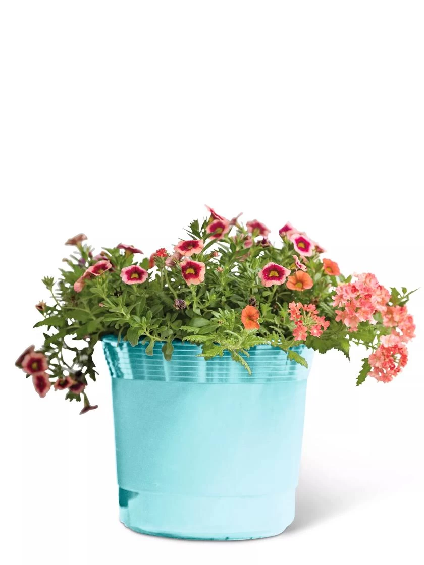 Eezy Gro Self-Watering Planters - Image 6
