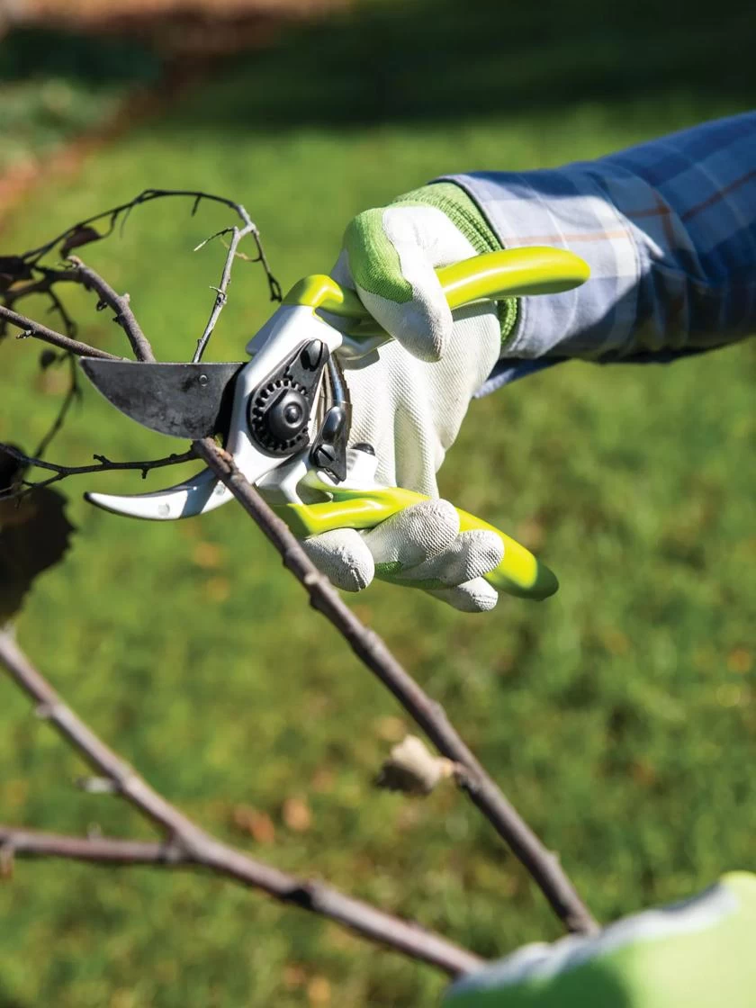 Gardener's Pro Pruner #2 - Image 4