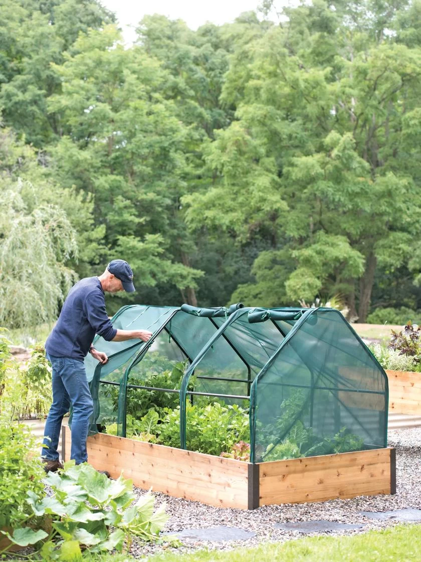 3-Season Plant Protection Tent, 4' X 8' - Image 4