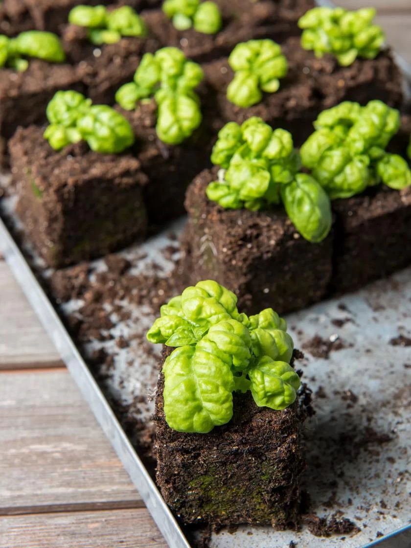 Soil Blocker, 4 Cell - Image 5