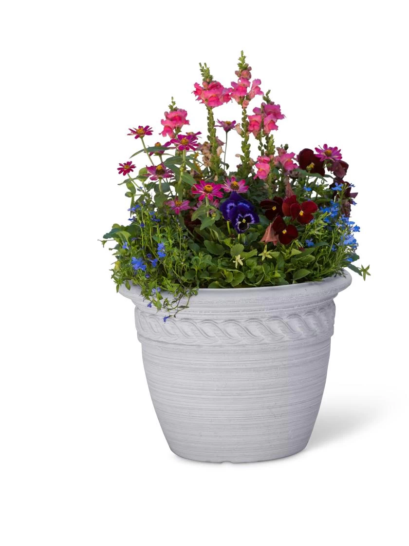 Cortina Self-Watering Planters - Image 5