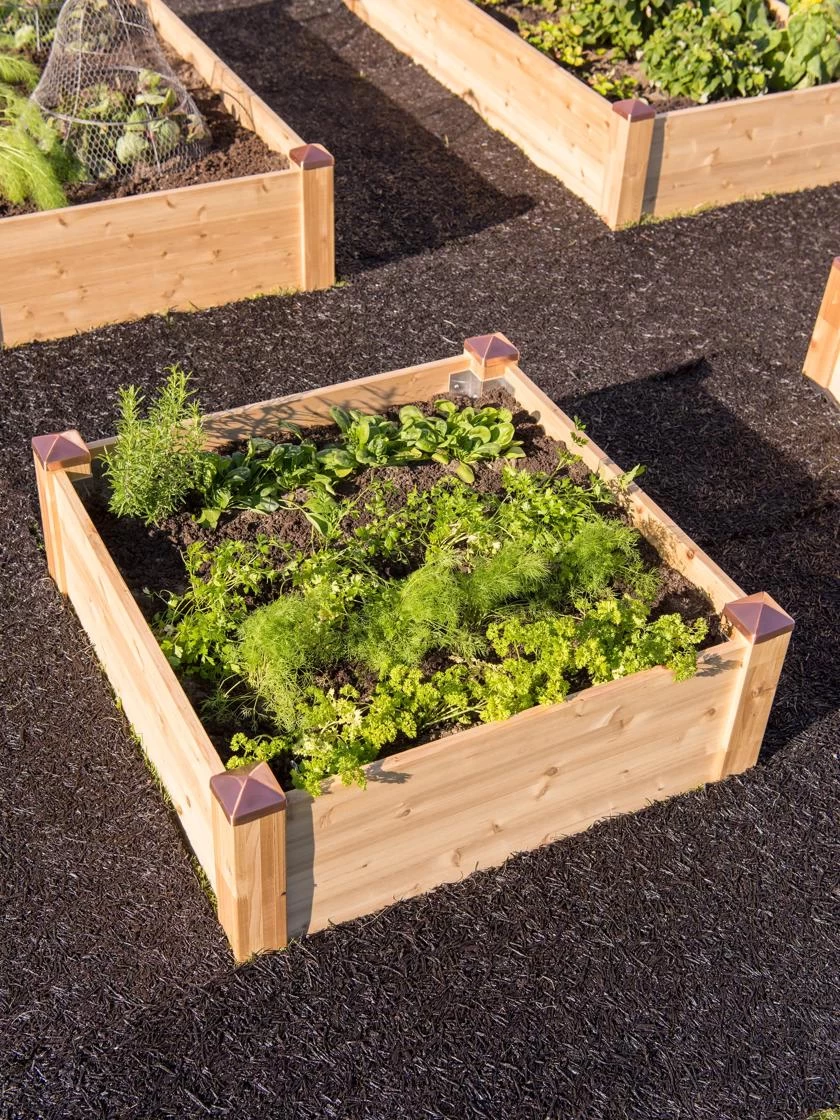 Copper Cap Raised Beds - Image 2