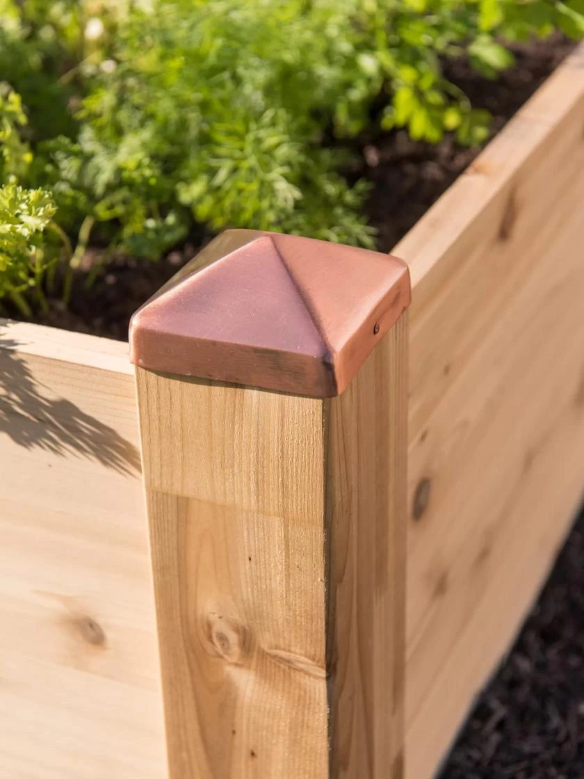 Copper Cap Raised Beds - Image 3