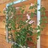 Ina Modern Wall Trellis Jr.