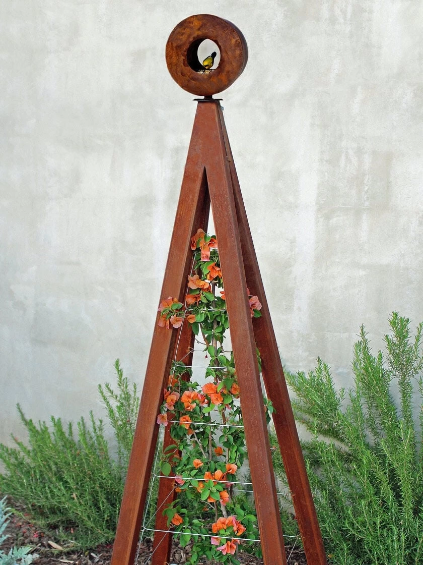 Bird Cafe + Akoris Garden Tuteur Jr. - Image 7