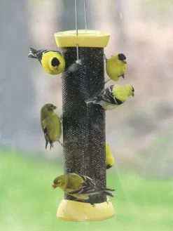 Birds Choice™ Magnet Mesh Clever Clean Nyjer Feeder 18"