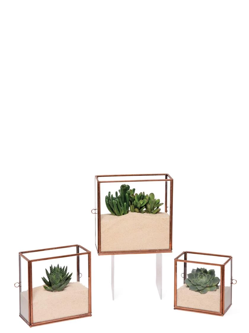 Copper And Glass Terrariums, Set Of 3 - Image 2