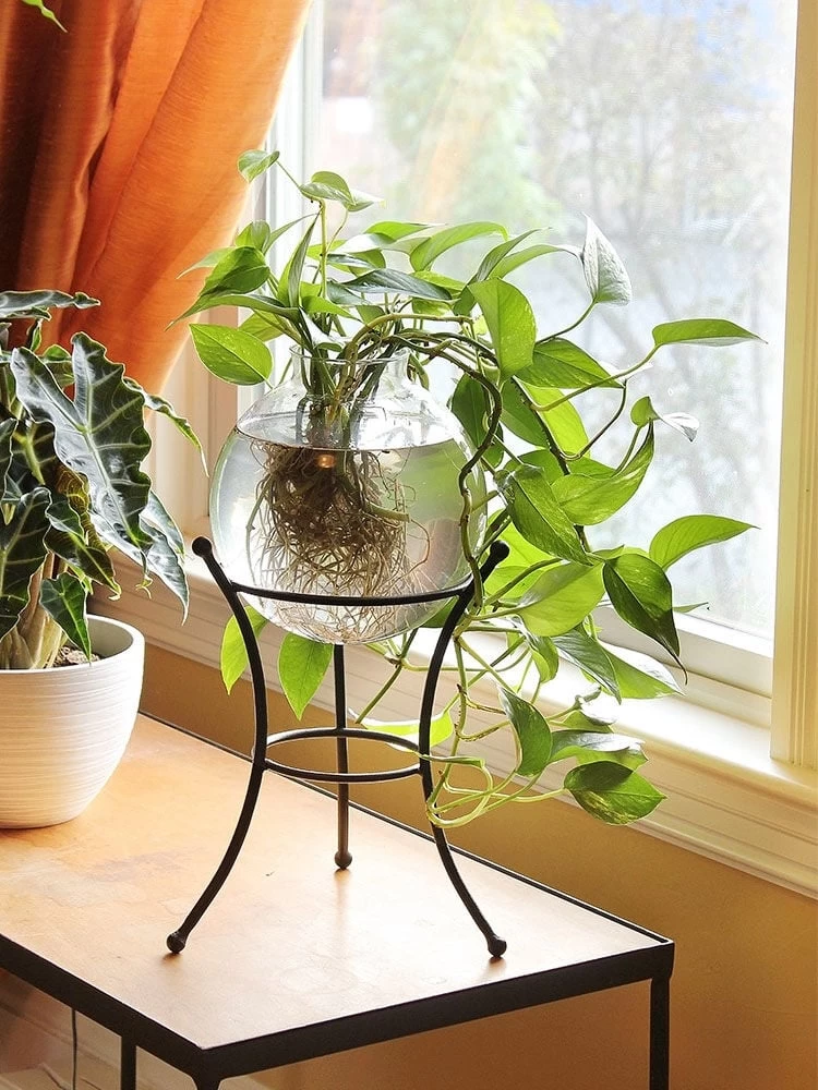 Achla Designs Multi Use Stand - Image 5