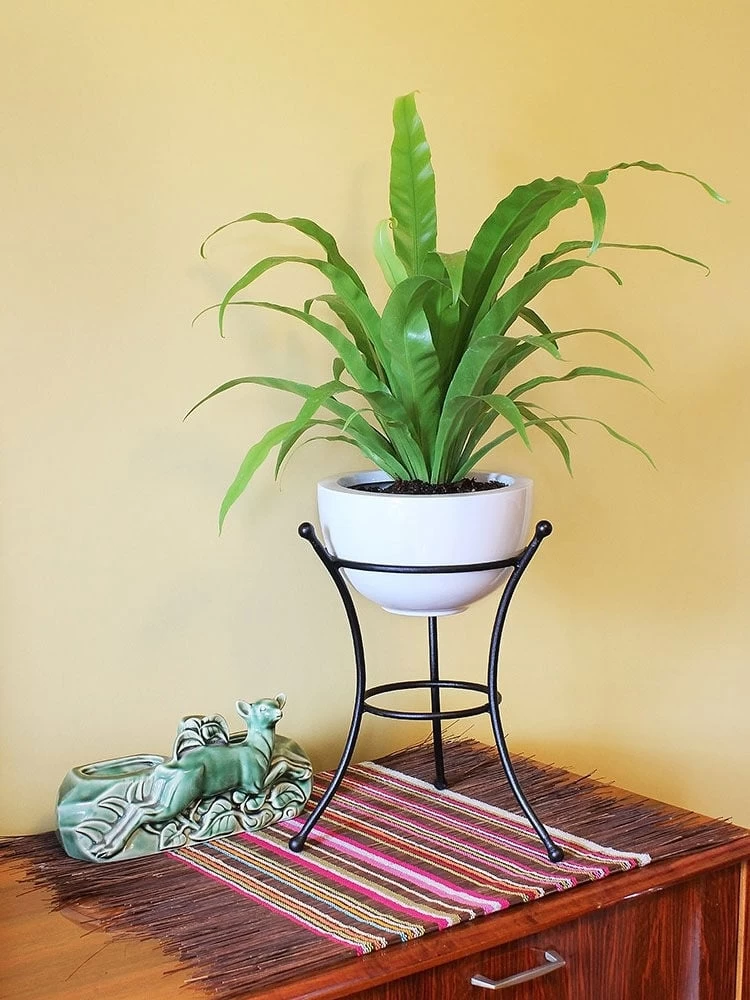 Achla Designs Multi Use Stand - Image 2