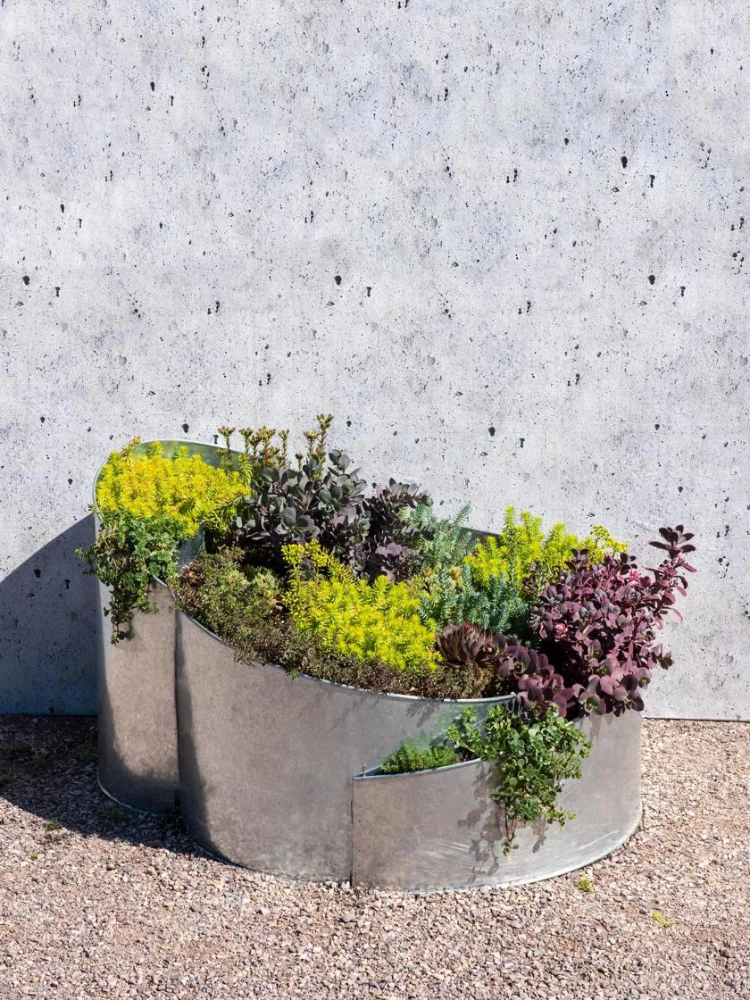 Curved Metal Raised Bed - Image 2