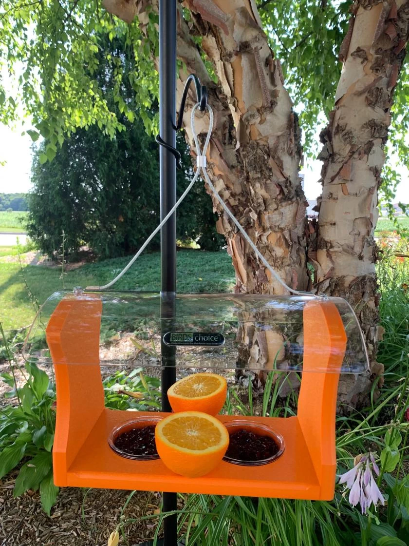 Birds Choice⢠Oriole Feeder