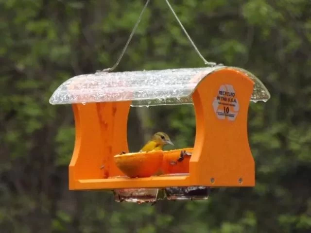 Birds Choice⢠Oriole Feeder - Image 2