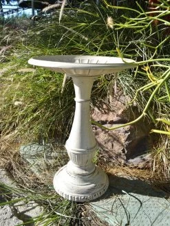Kingston Birdbath