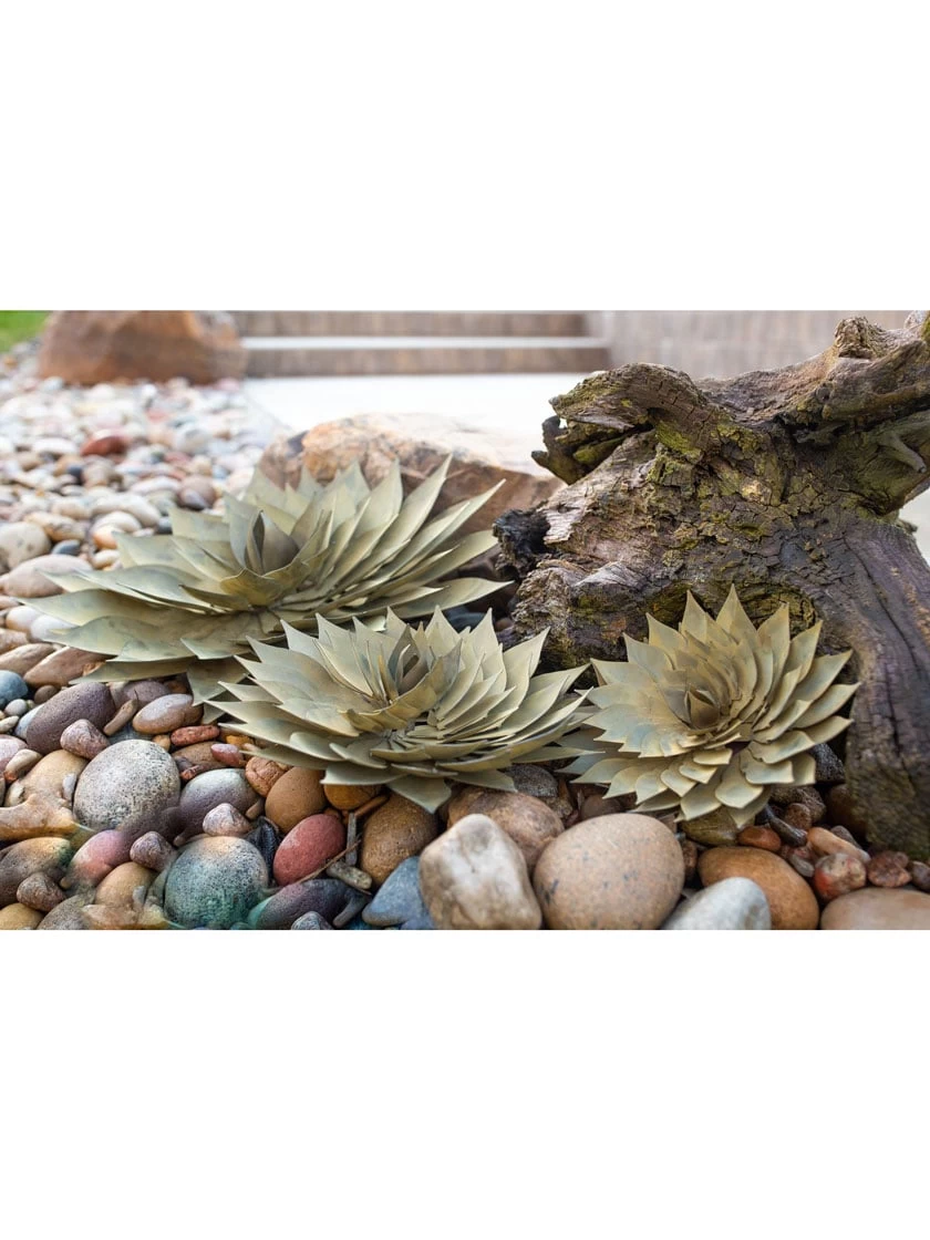 Desert Steel Spiral Aloe Sculpture - Image 2