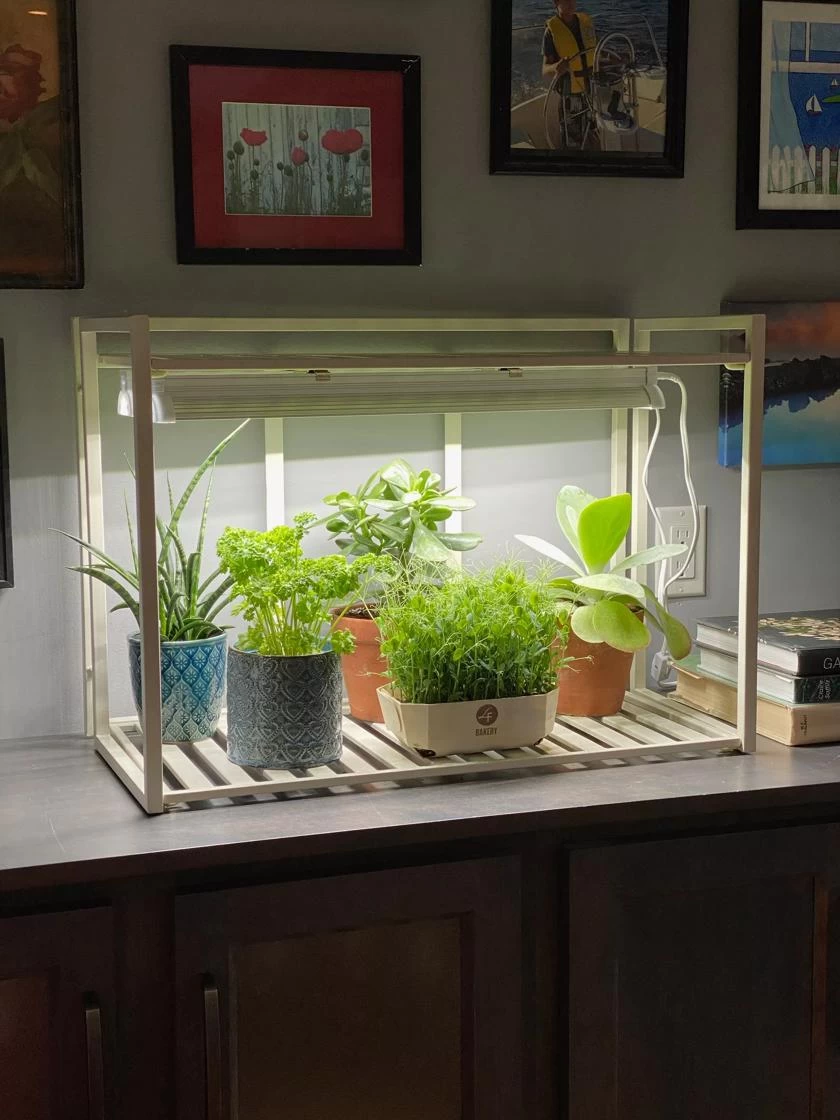 Oslo 1-Tier LED Grow Light Garden - Image 4