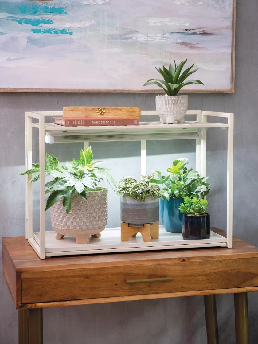 Oslo 1-Tier LED Grow Light Garden - Image 2