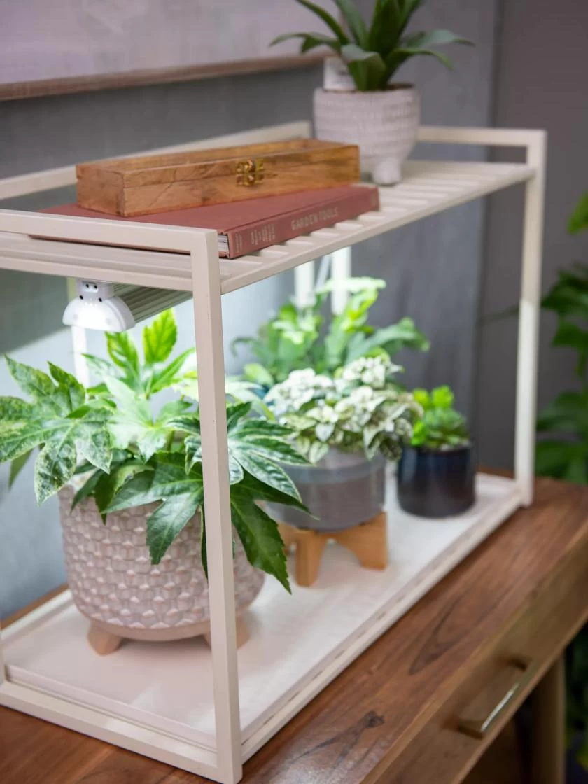 Oslo 1-Tier LED Grow Light Garden - Image 3