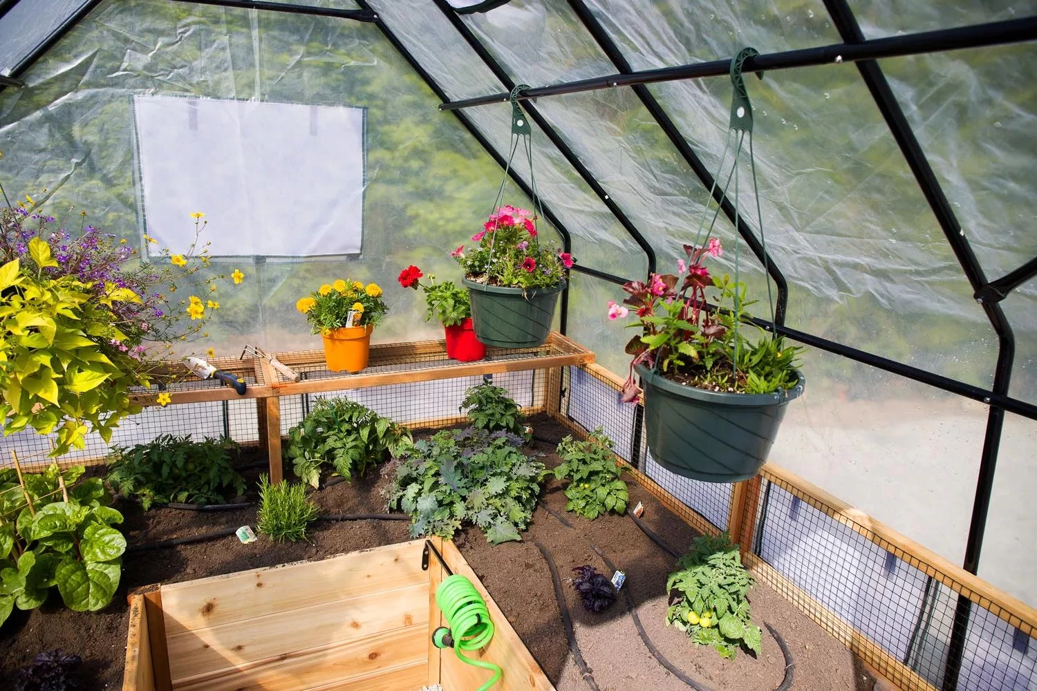 Garden In A Box With Greenhouse, 8' X 8' - Image 2