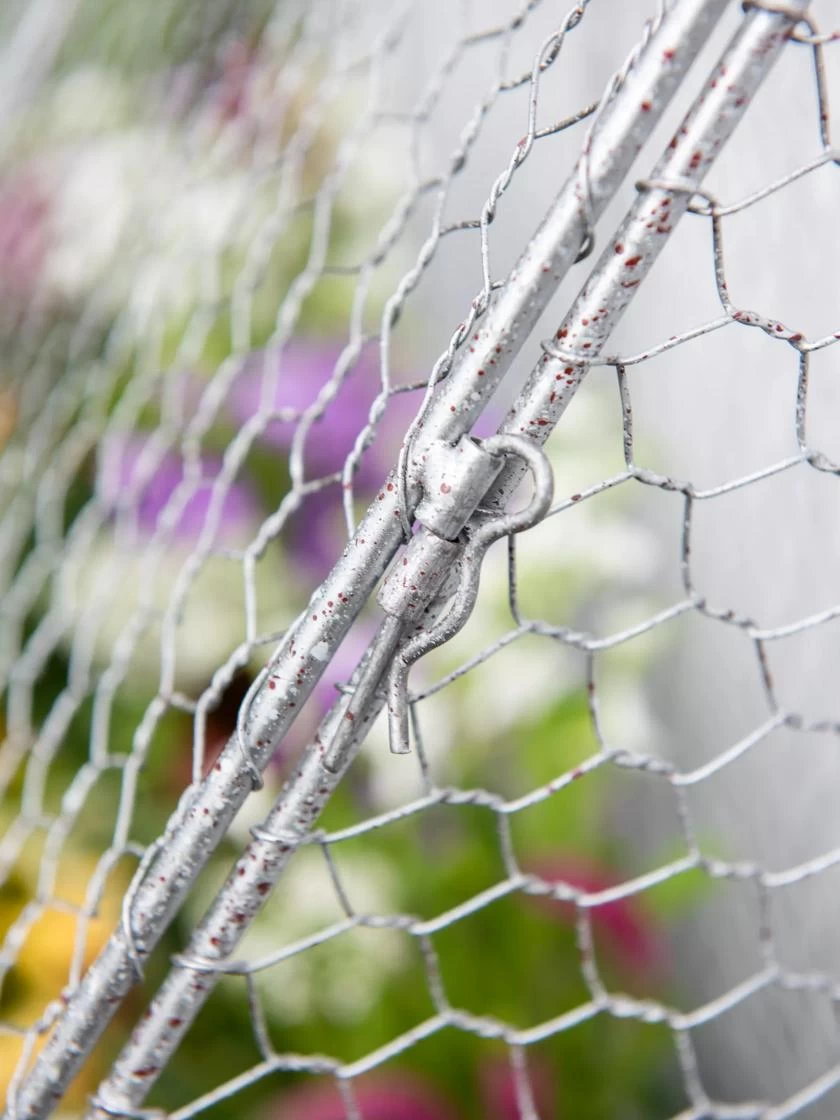 Chicken Wire Flat Back Crop Coop - Image 4
