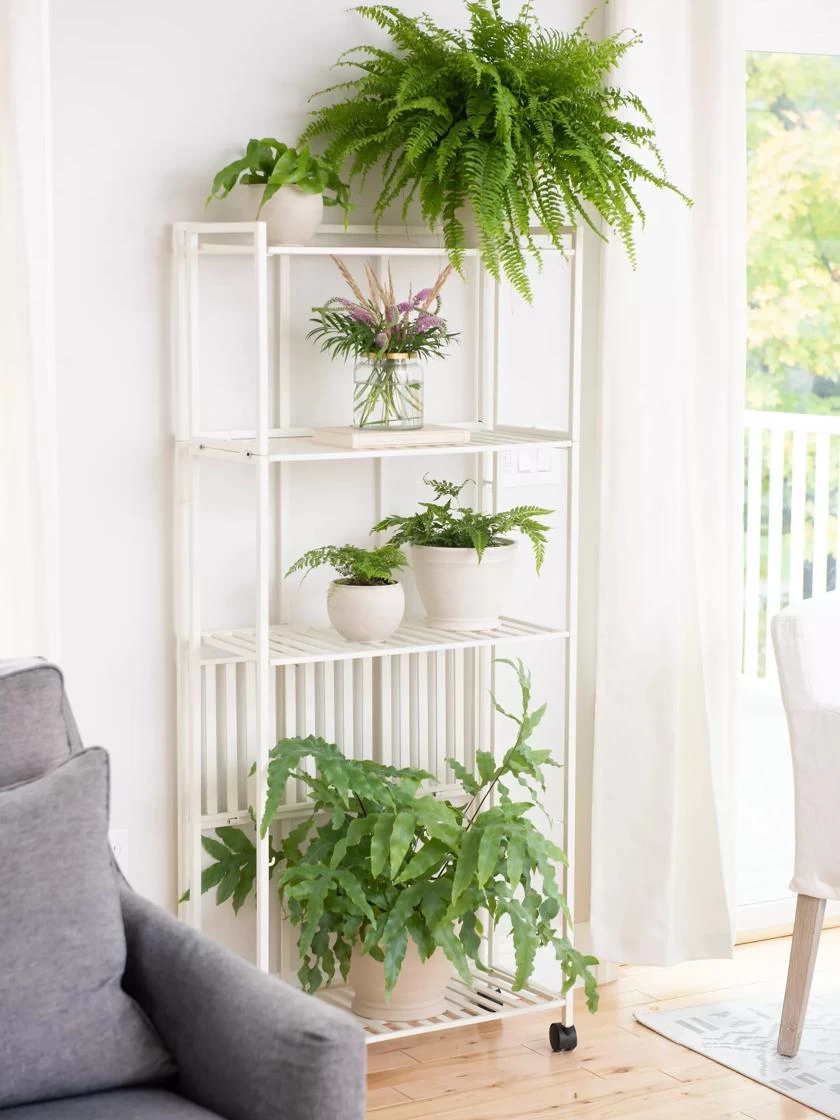 Oslo 4-Tier Plant Stand With Folding Shelves - Image 2