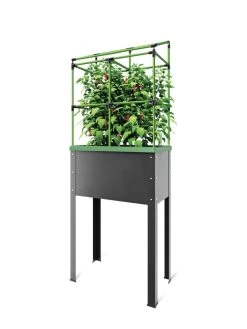 City Jungle® Heidelberg Tomato Trellis