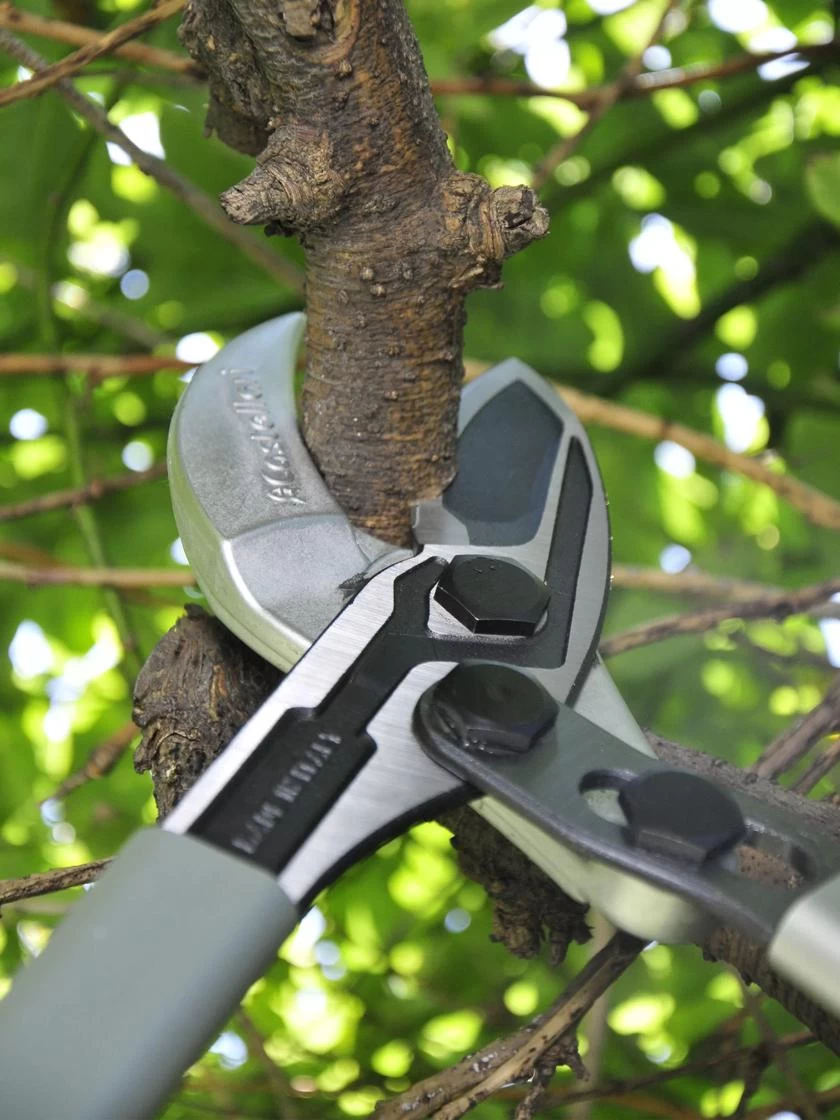 Castellari Long-Handled Anvil Lopper - Image 2