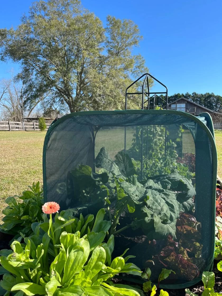 Pest Control Pop-Ups - Image 2