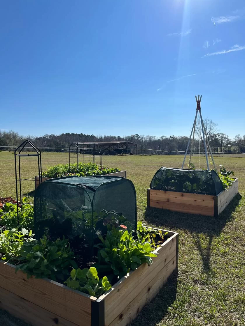 Pest Control Pop-Ups - Image 6