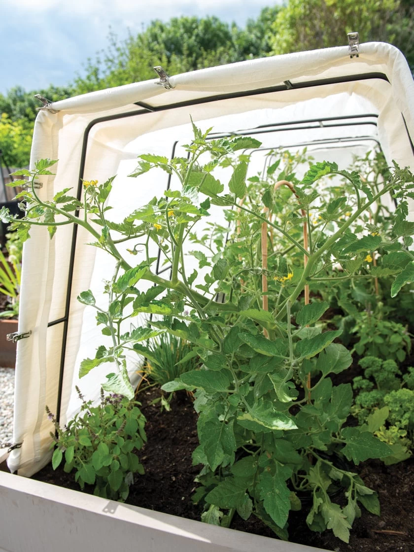 Metal Medium Garden Clips 2.25", Set Of 18 - Image 2