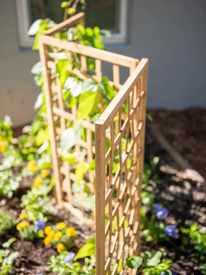 Bamboo Zig-Zag Trellis 24" X 36" - Image 3