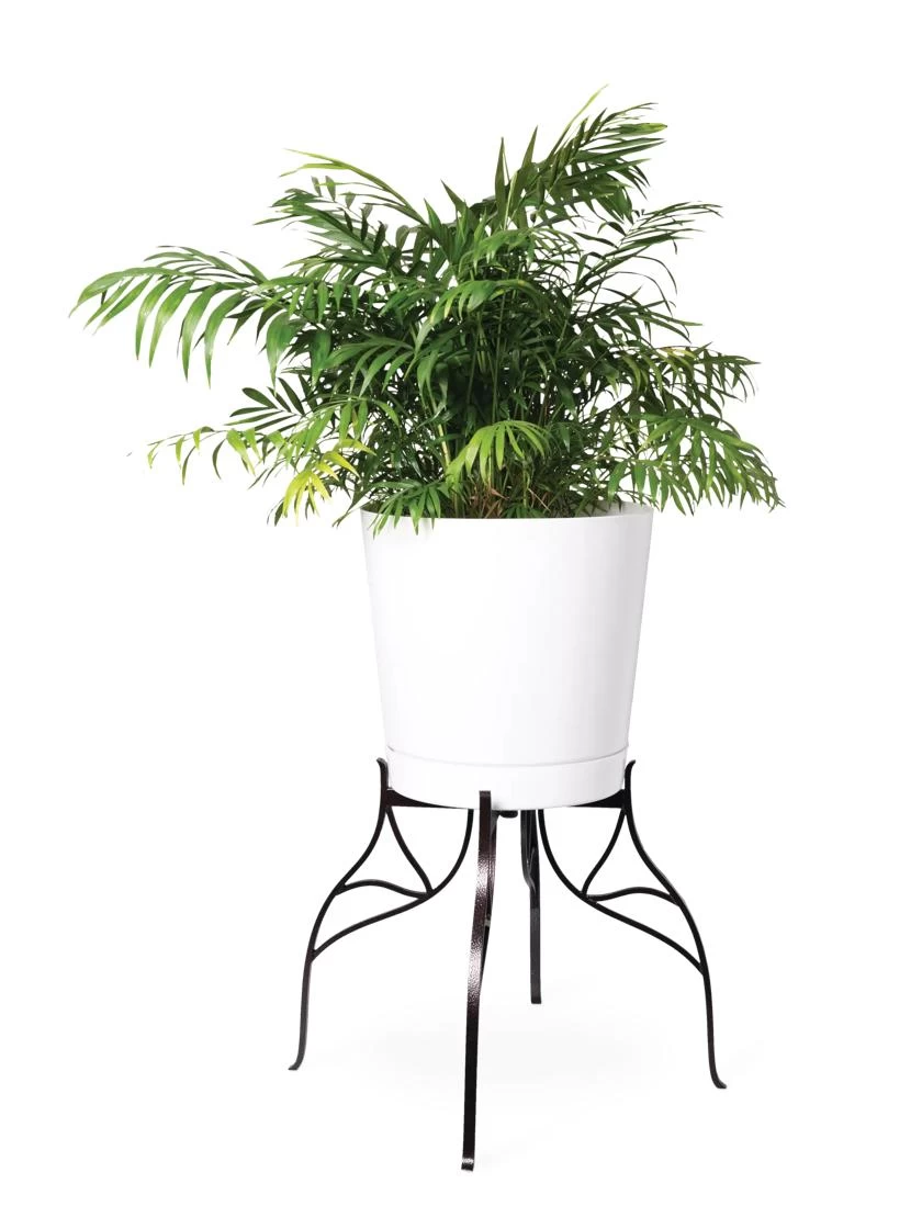 Aubrey Adjustable Plant Stand