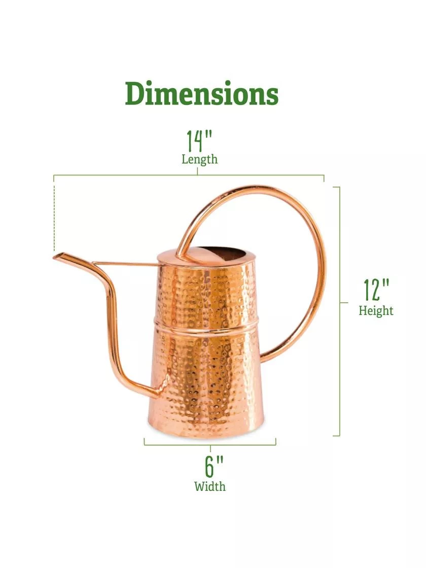 Copper Indoor Watering Can - Image 3