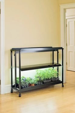 Floor Sunlite® Garden