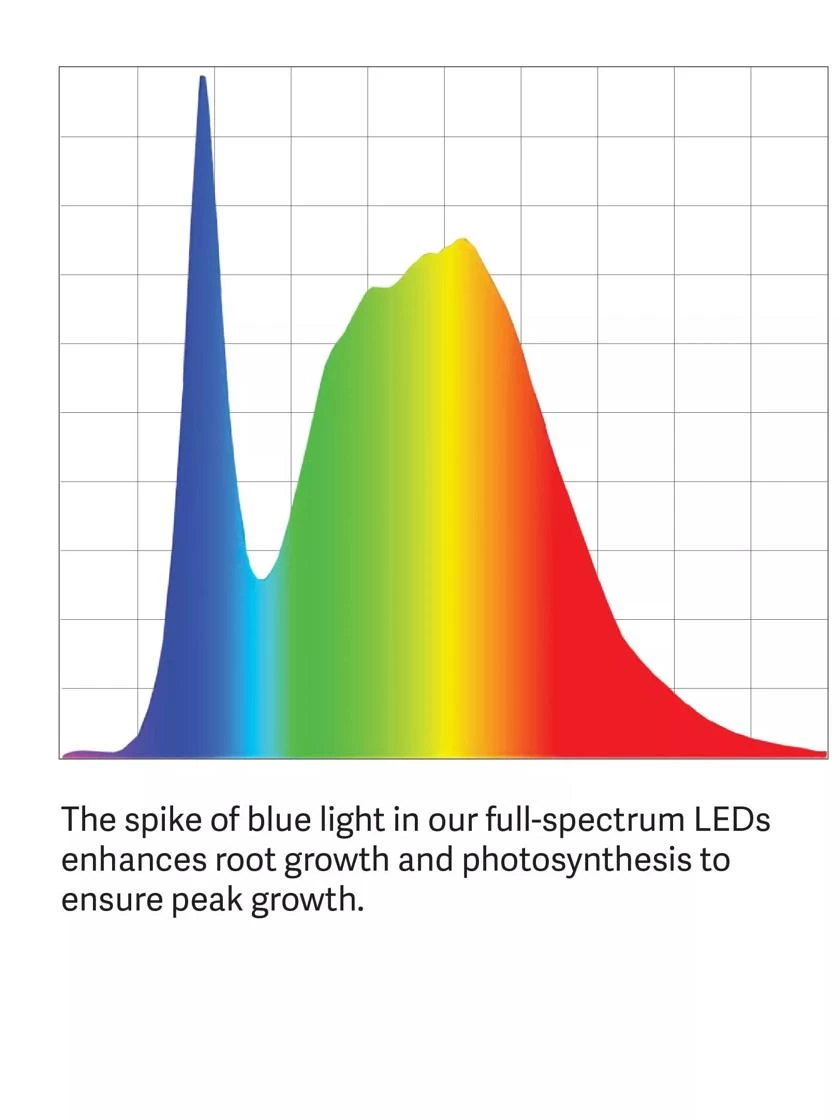 Bamboo Display LED Grow Light Garden - Image 9